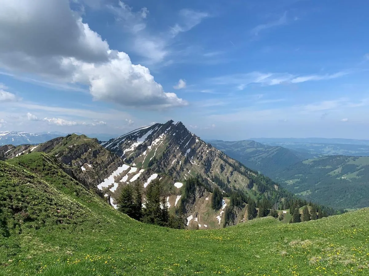 Apartamento Staufen Herz Oberstaufen